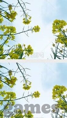 炸金花透视原理-透视原理在炸金花游戏中的应用